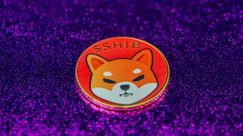 shiba inu-unsplash